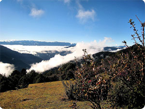 Bhutan Druk path trekking- Druk path trekking information