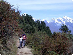Langtang Helambu Trekking - Langtang Helambu trekking information