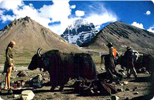 Simikot Kailash trekking- Simikot kailash trekking information