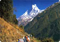 Annapurna Base Camp Trekking