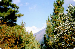 Everest comfort Trekking