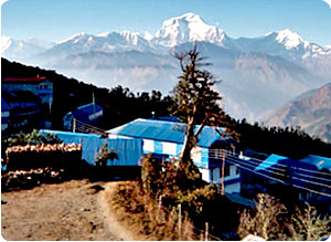 Ghorepani Poon Hill Trekking - Ghorepani trekking tour