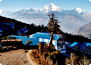Ghorepani Poon Hill Trekking