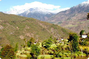 Kalinchowk Trekking