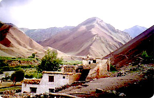 Markha Valley & Rupshu Trekking- Markha valley trekking information