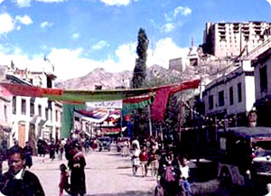 Ladakh Nubra valley Tsomoriri Tour - India tsomoriri lake tour