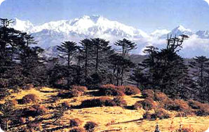 Sikkim Sandakphu trekking-Sandakphu trekking information