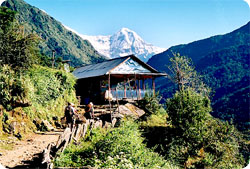 Tea-house Trekking